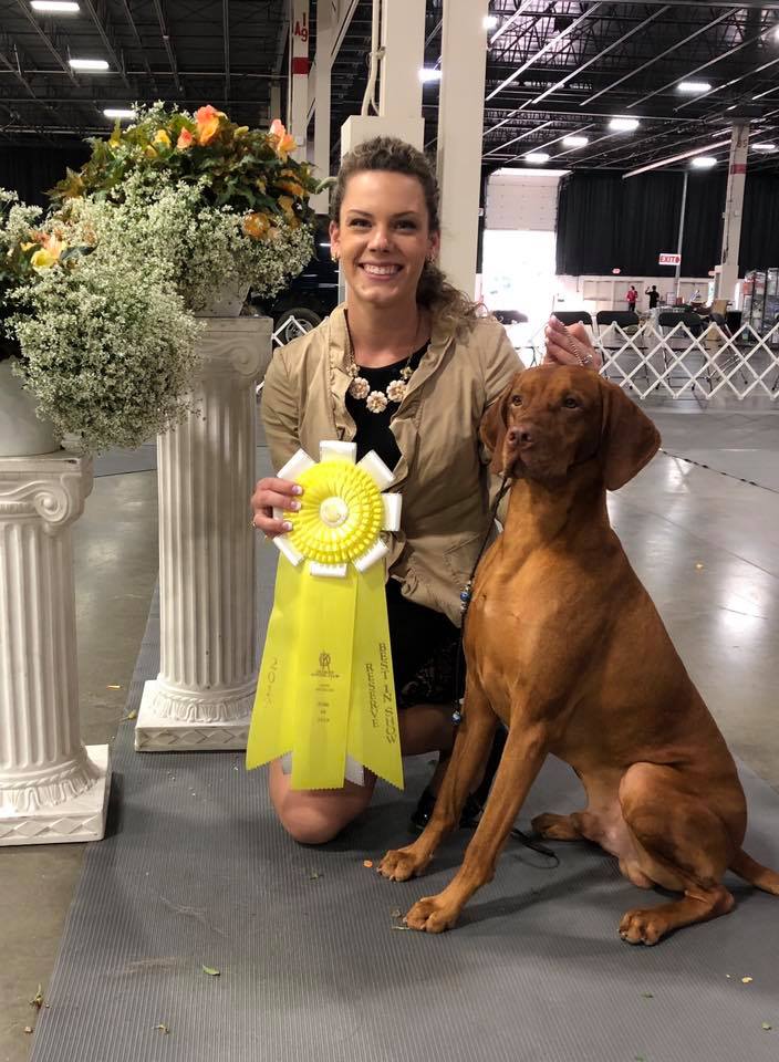 Detroit Kennel Club Dog Show